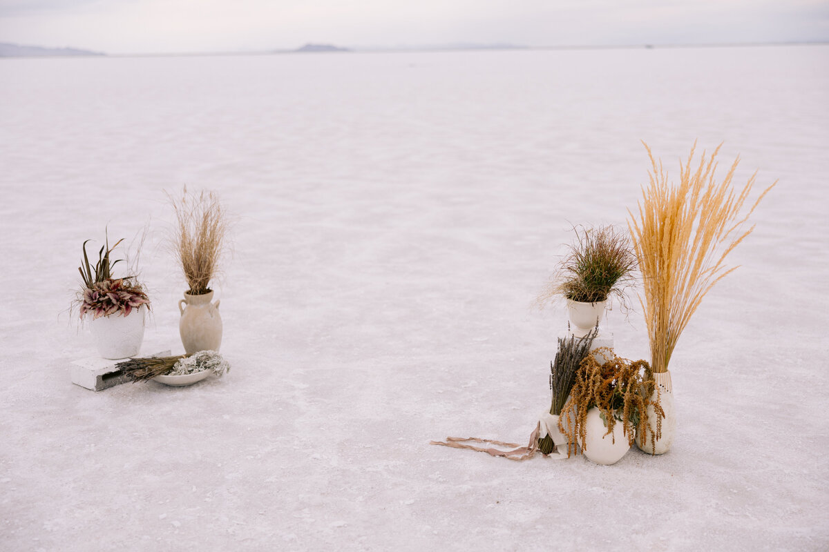 SaltFlats_SaltFlats_0180