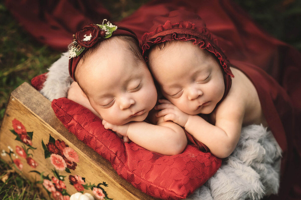 Newborn twin girls at their Toronto Newborn Photography session outdoors at Vineland dressed in red sleeping in a floral painted drawer.