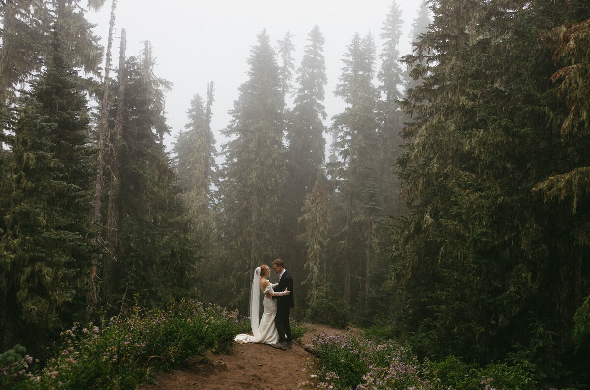 Mount Rainier Fire Lookout Elopement-304