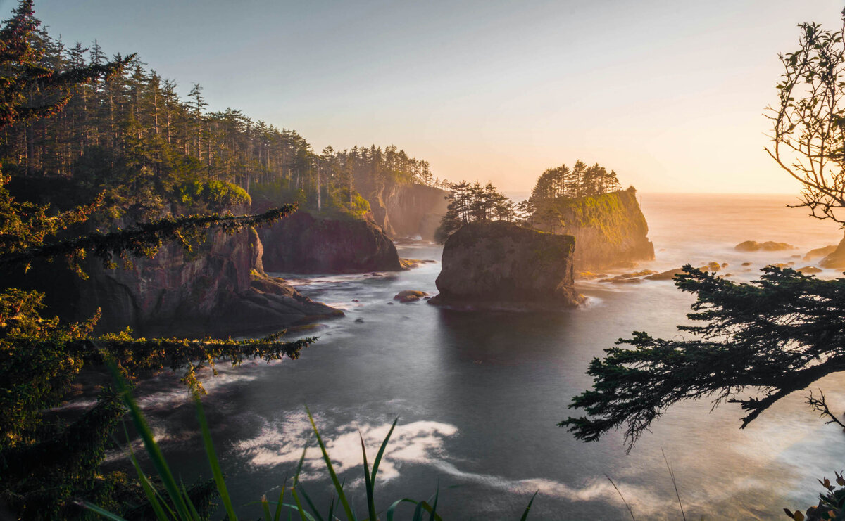 pnw-8