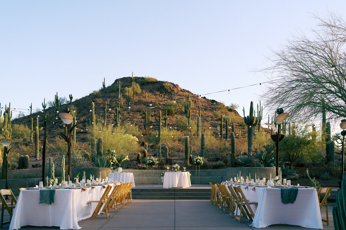 desert-botanical-garden-webster-center-dinner-setup