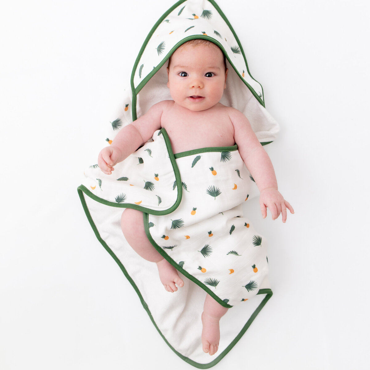 2024-05-01BambooLittleFatBaby-1975