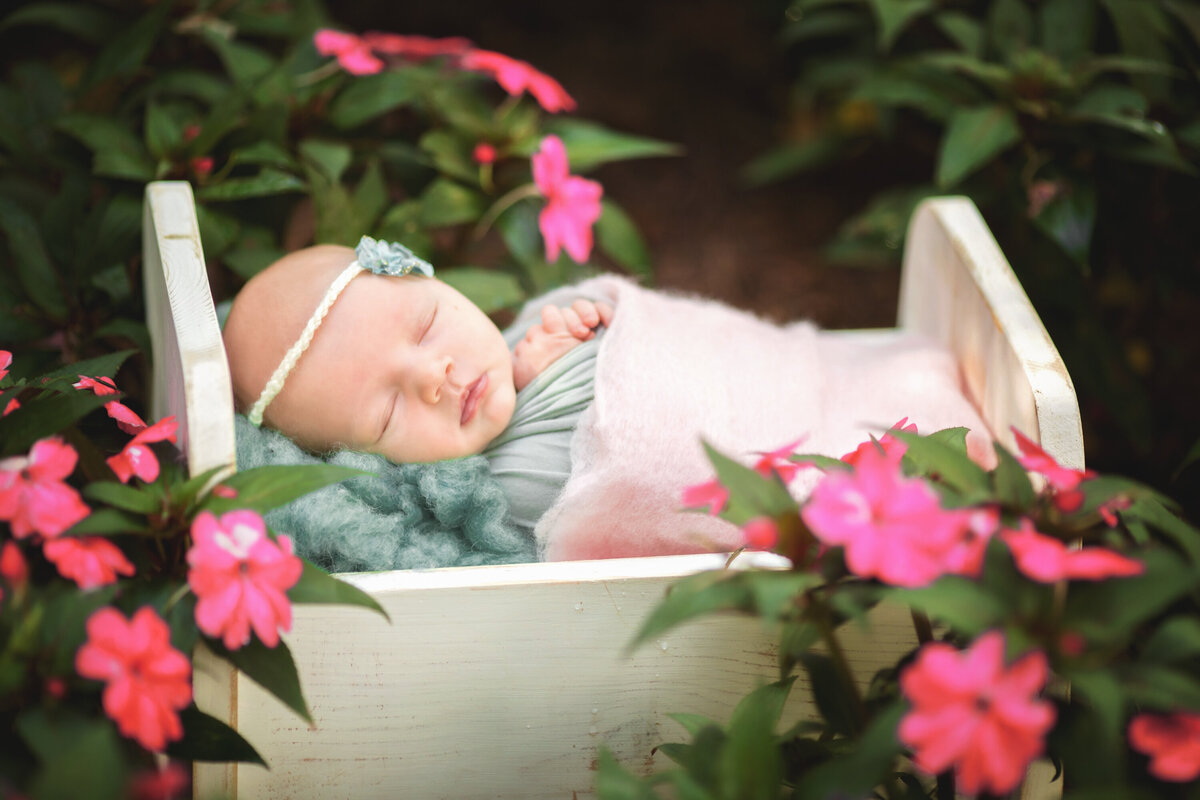 baby girl outdoor in white bed in pink vinca flowers .   She is wearing a small headband and her hands are crossed.  She has aqua and pink blankets in the bed.