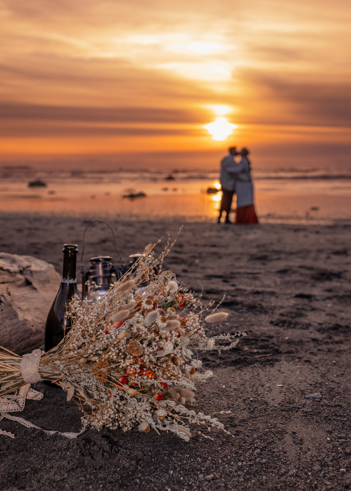 Olympic-National-Park-Elopement-Photographer
