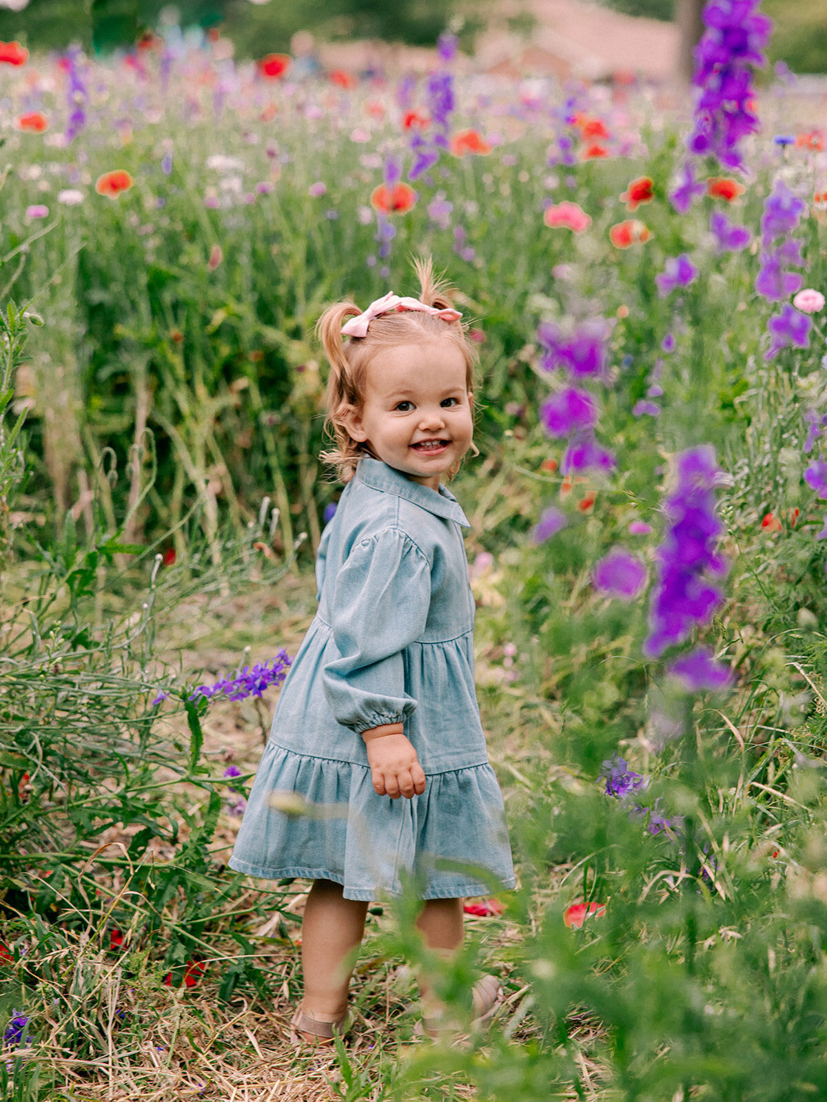 DallasPortraitSession-MollyMurphyPhotography00066