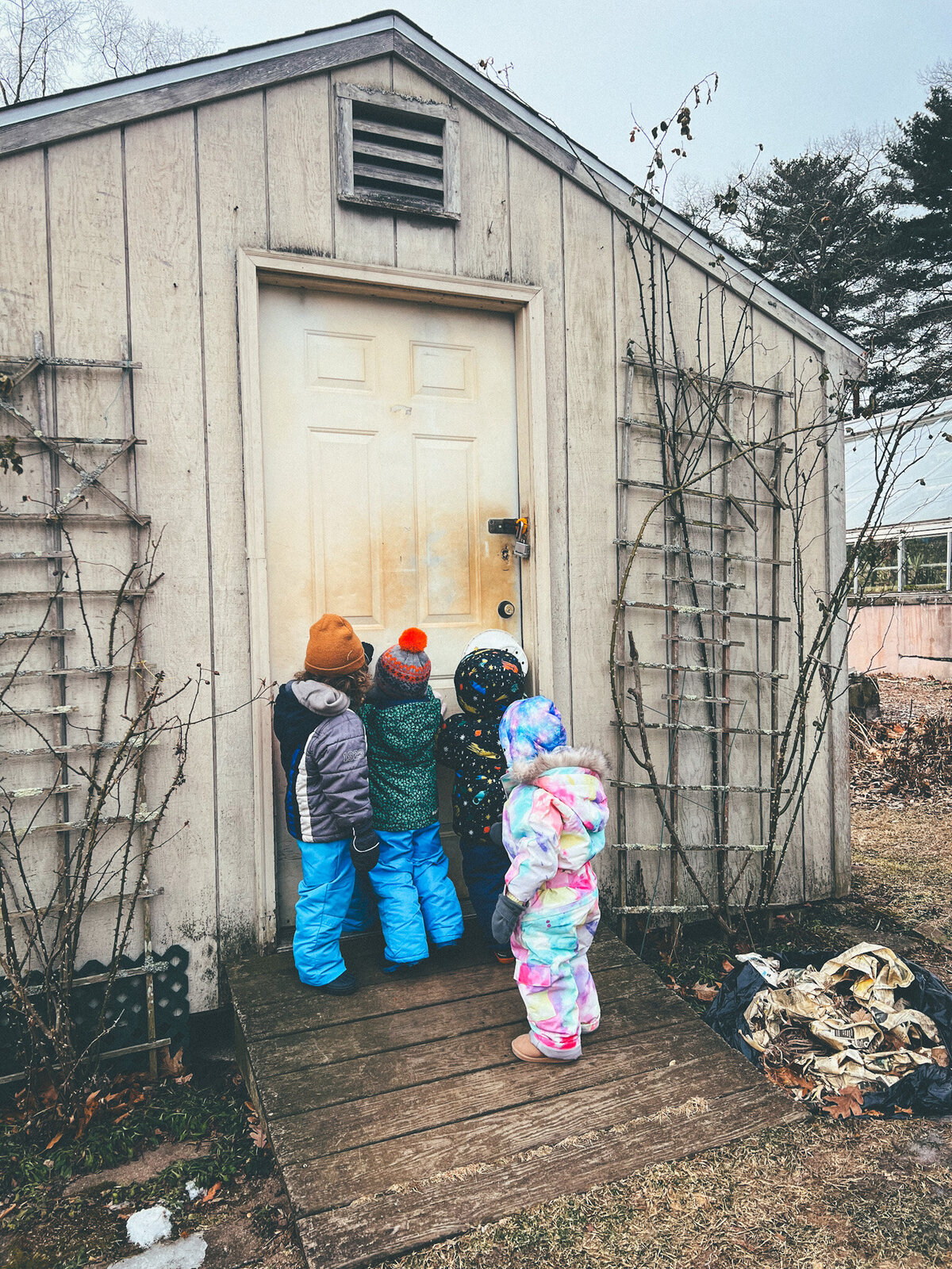 Outdoor learning with Brave Nature School