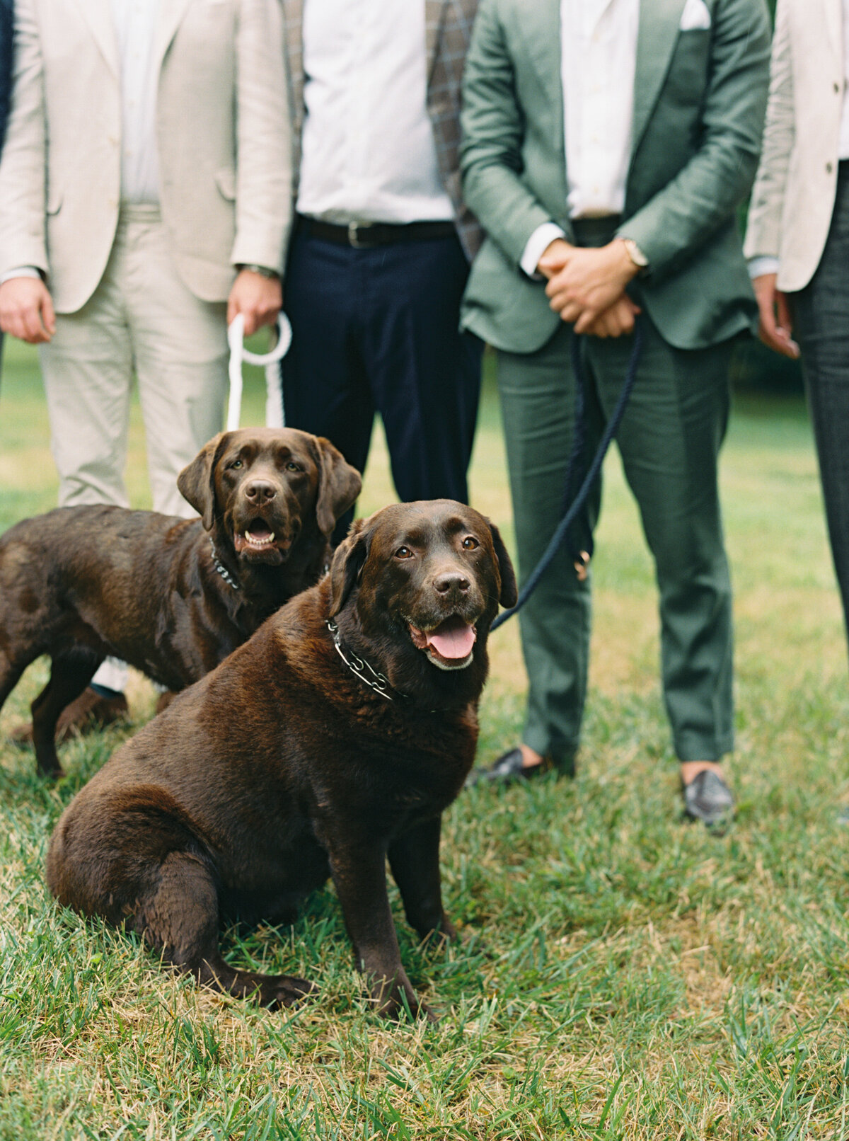 pageandadamwedding-daniellejamesphoto-33