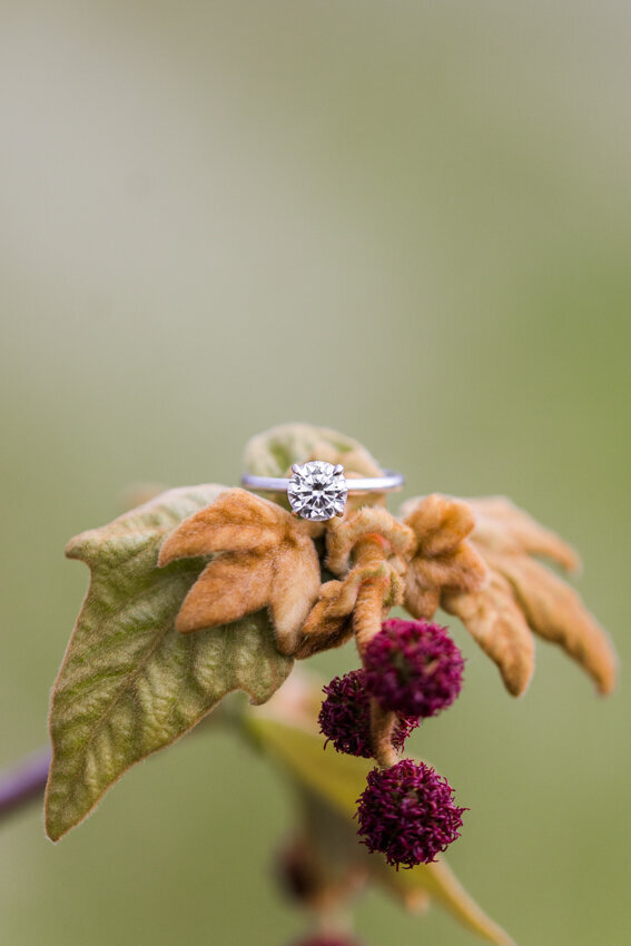 engagement-ring-on-leaves