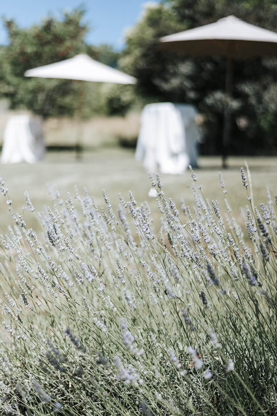 luxury-weddin-florals-flowers-france-florist-planning002