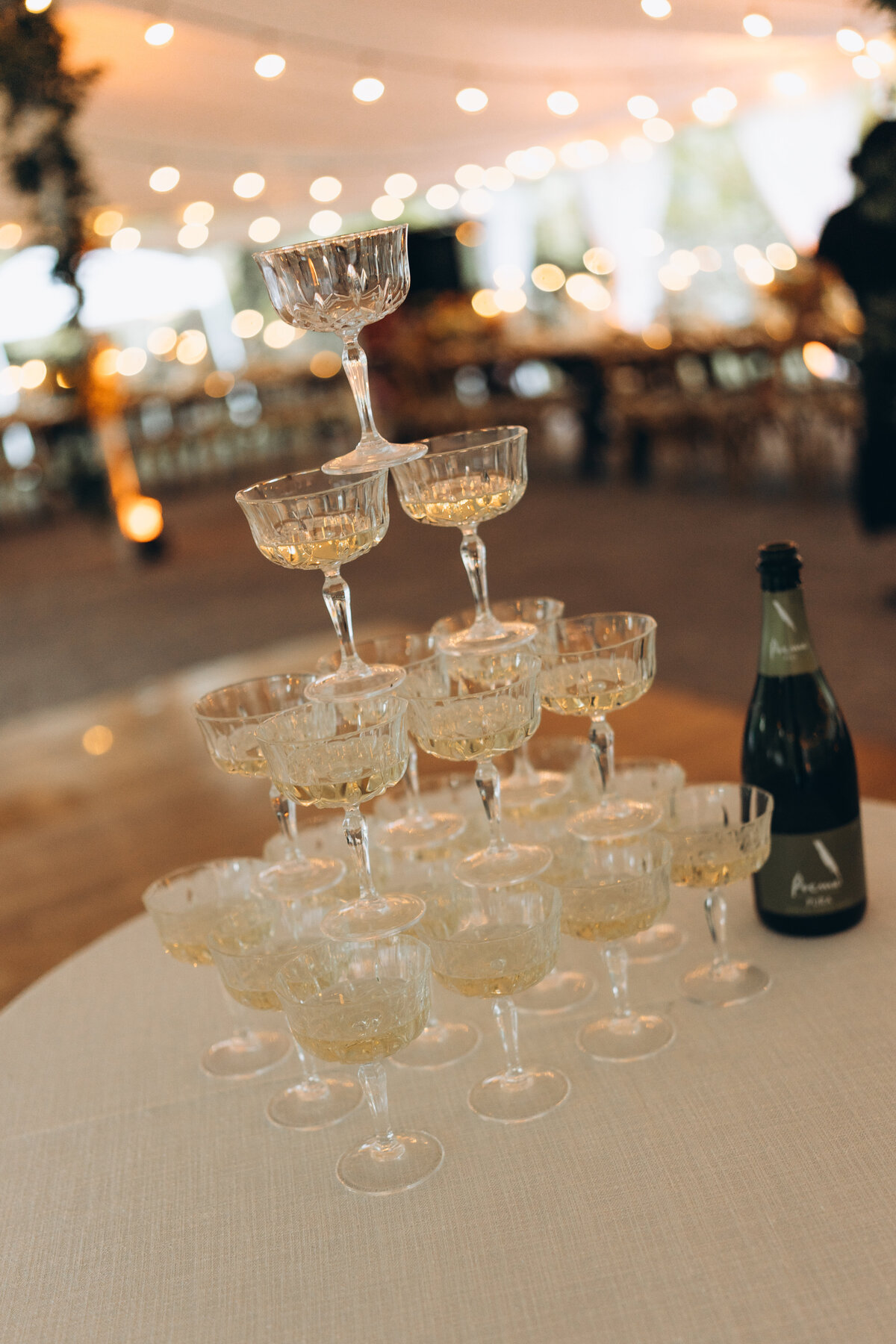 RECEPTION-COLASACCO-WEDDING-68
