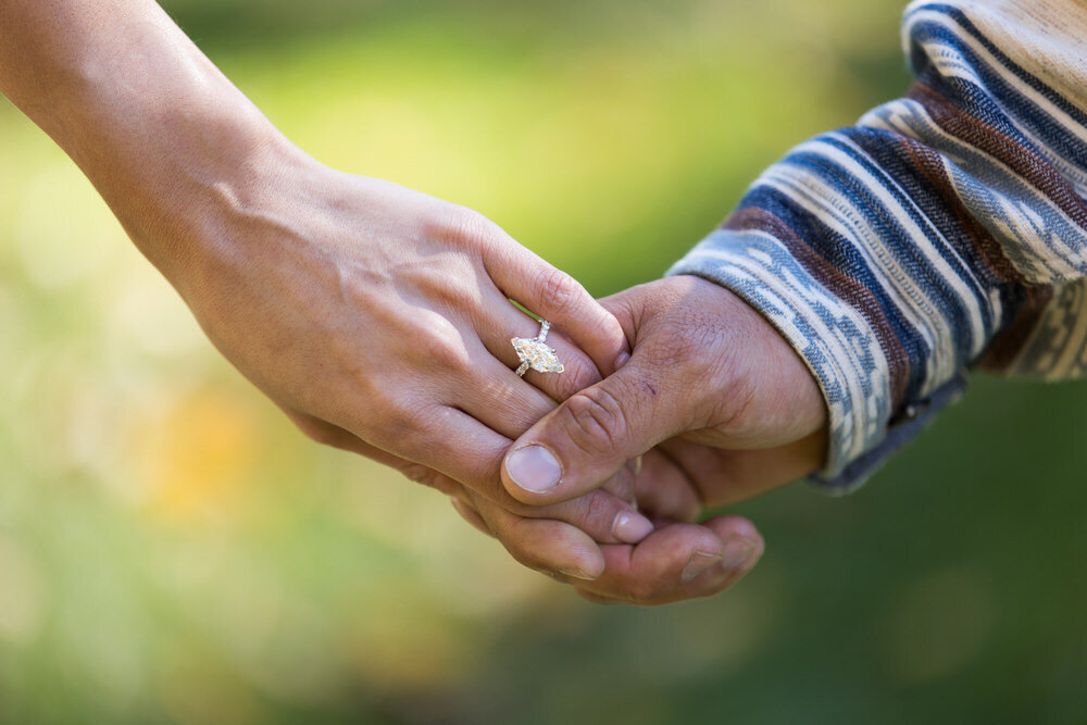 13Wedding Proposal at Biltmore