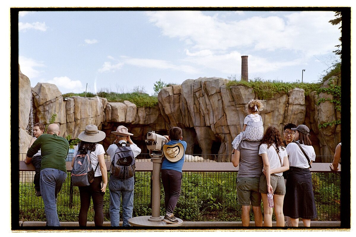 ultramax 400 31