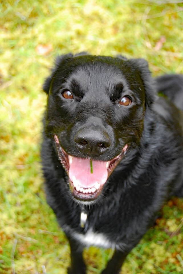 30688205_2028258834104870_1772350518488727552_n