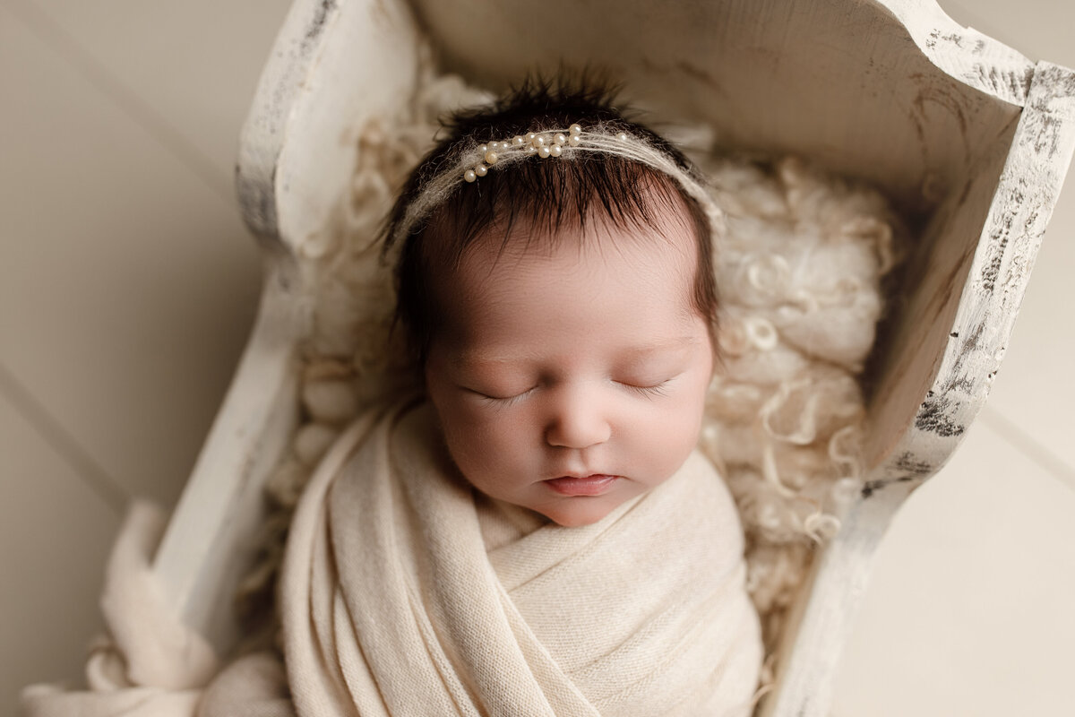 newborn photography in nashville