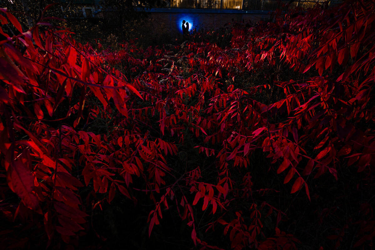 Adore Wedding Photography-