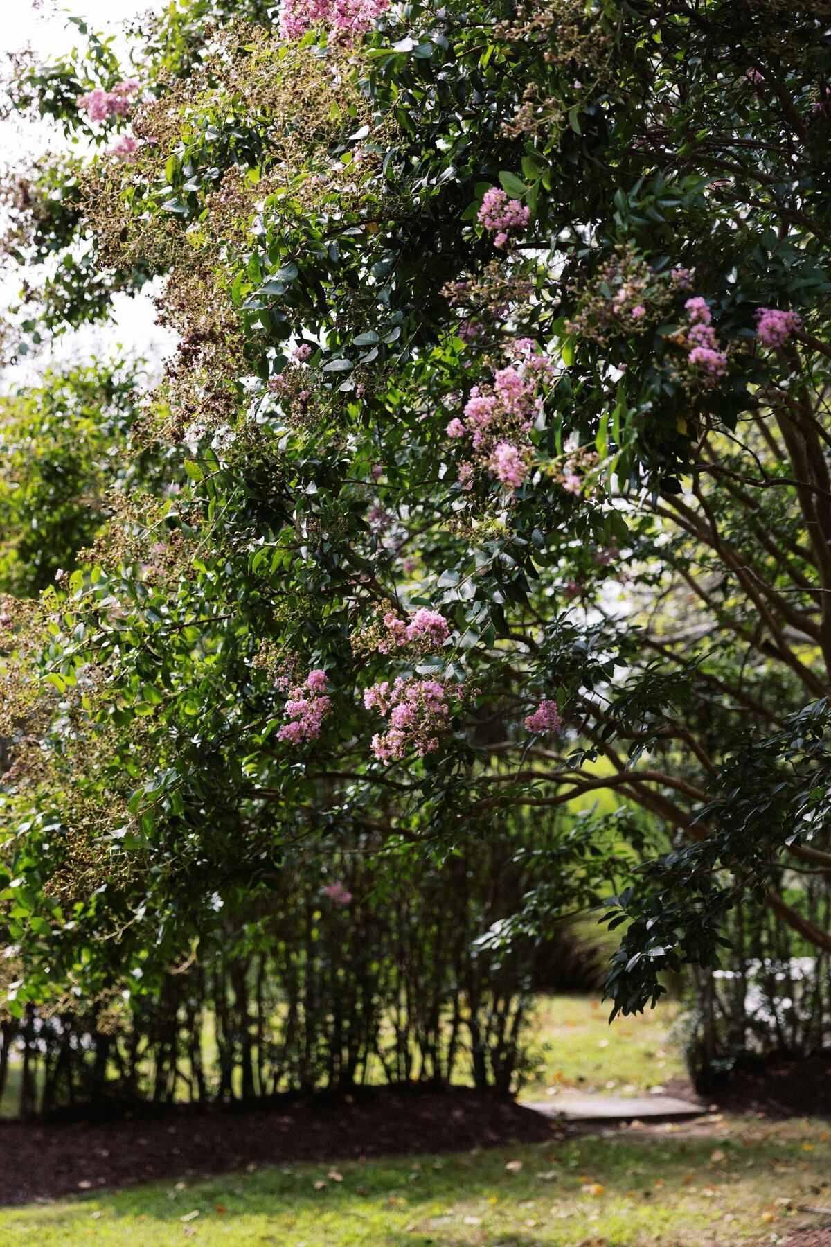 kontakosta-winery-long-island-wedding-photographer-311