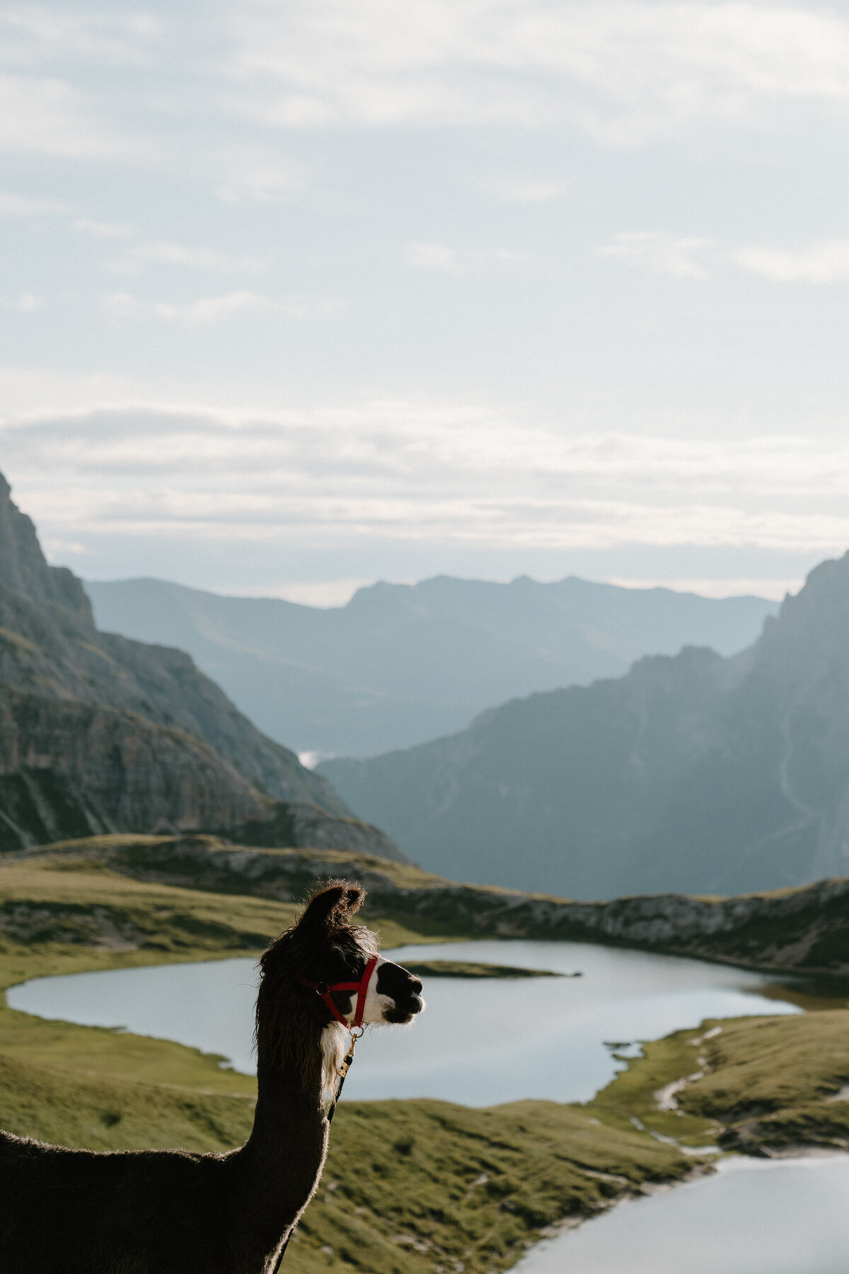 dolomites-16