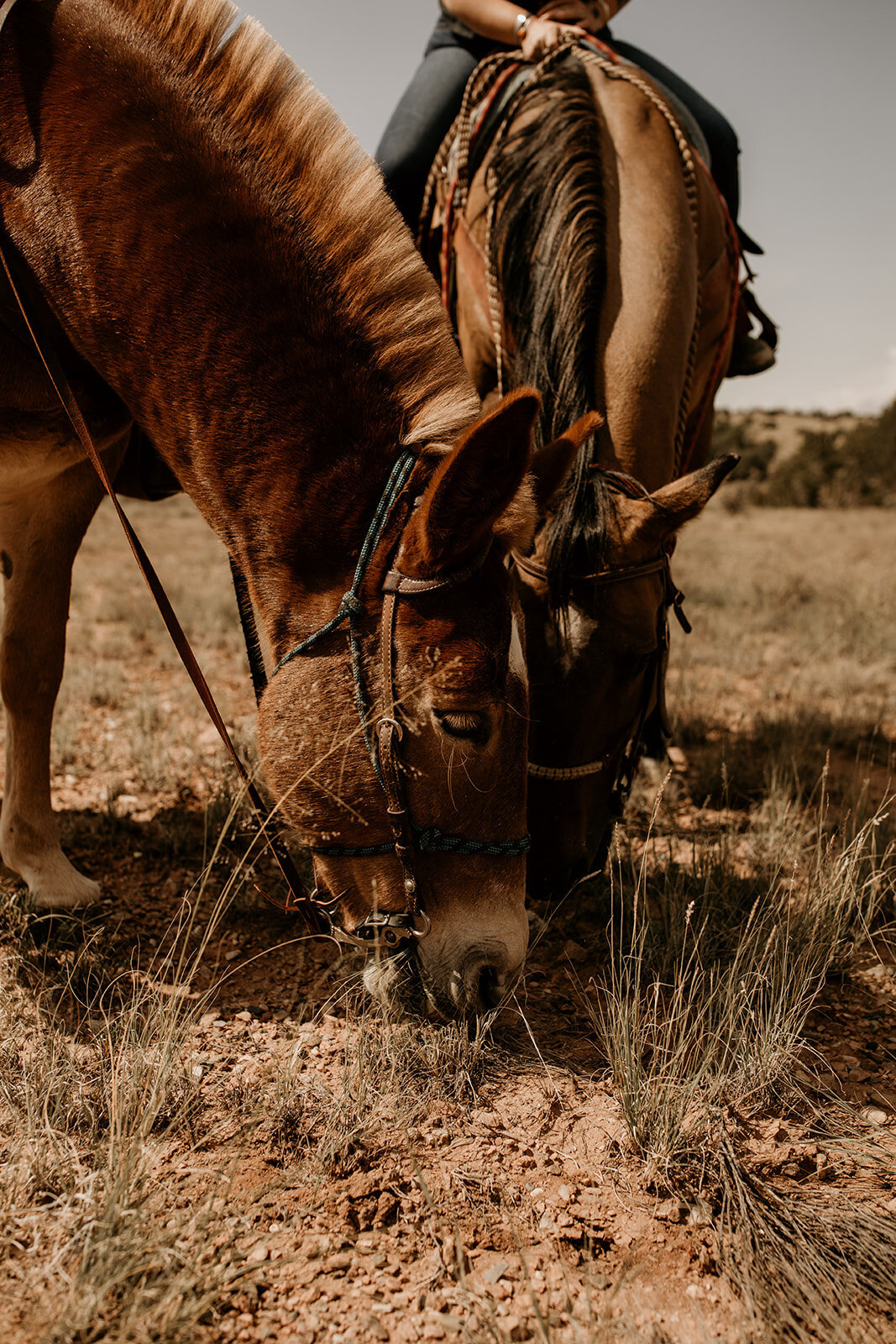 santa-fe-new-mexico-horseback-riding-engagement-photos (15)