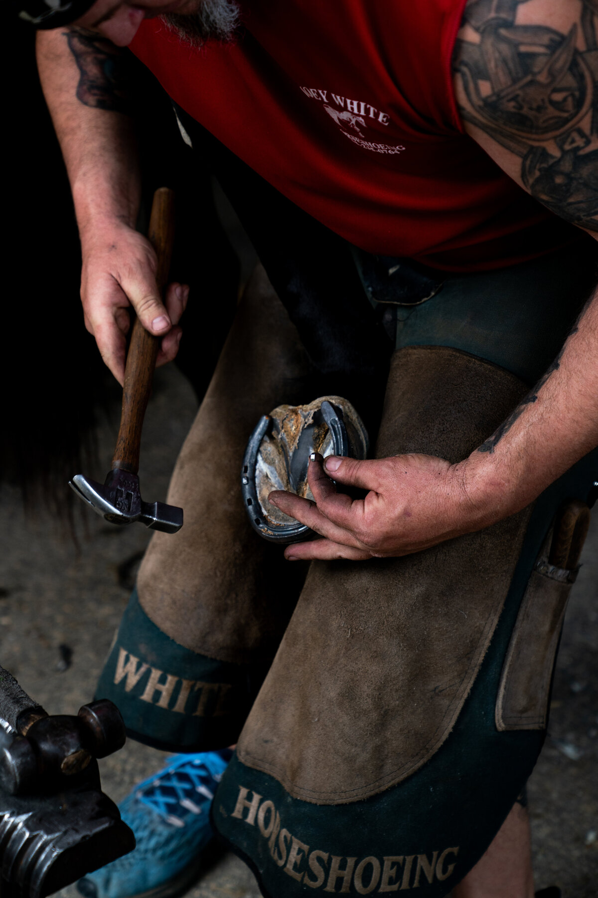 Horseshoe being replaced by Joey White in stable at Pinehurst Race Track in May 2020. 