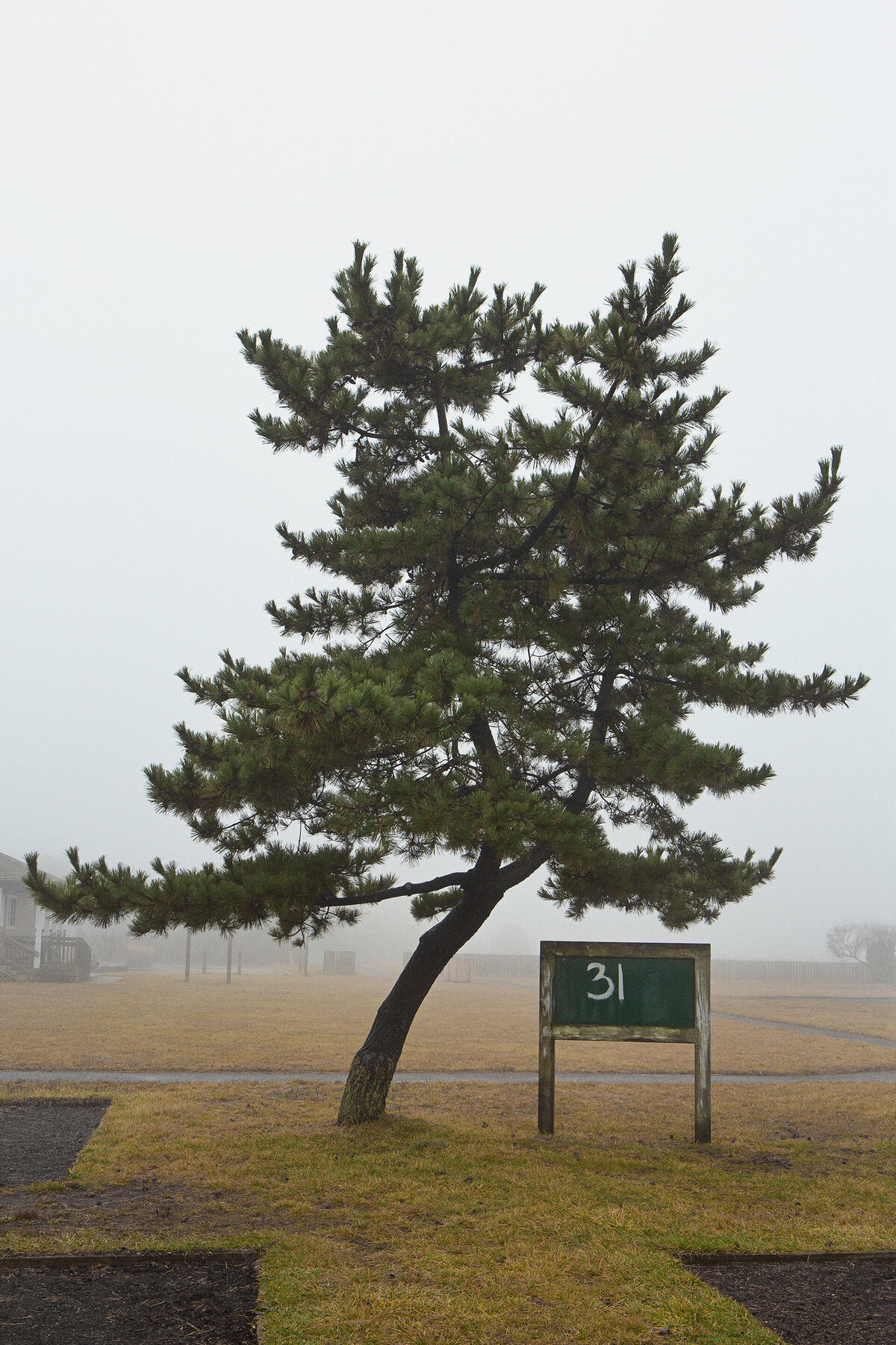 20141231_LONG_BEACH_ISLAND_0021_01