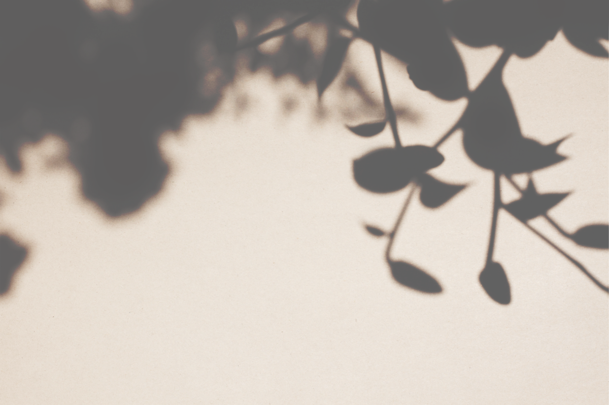 shadow