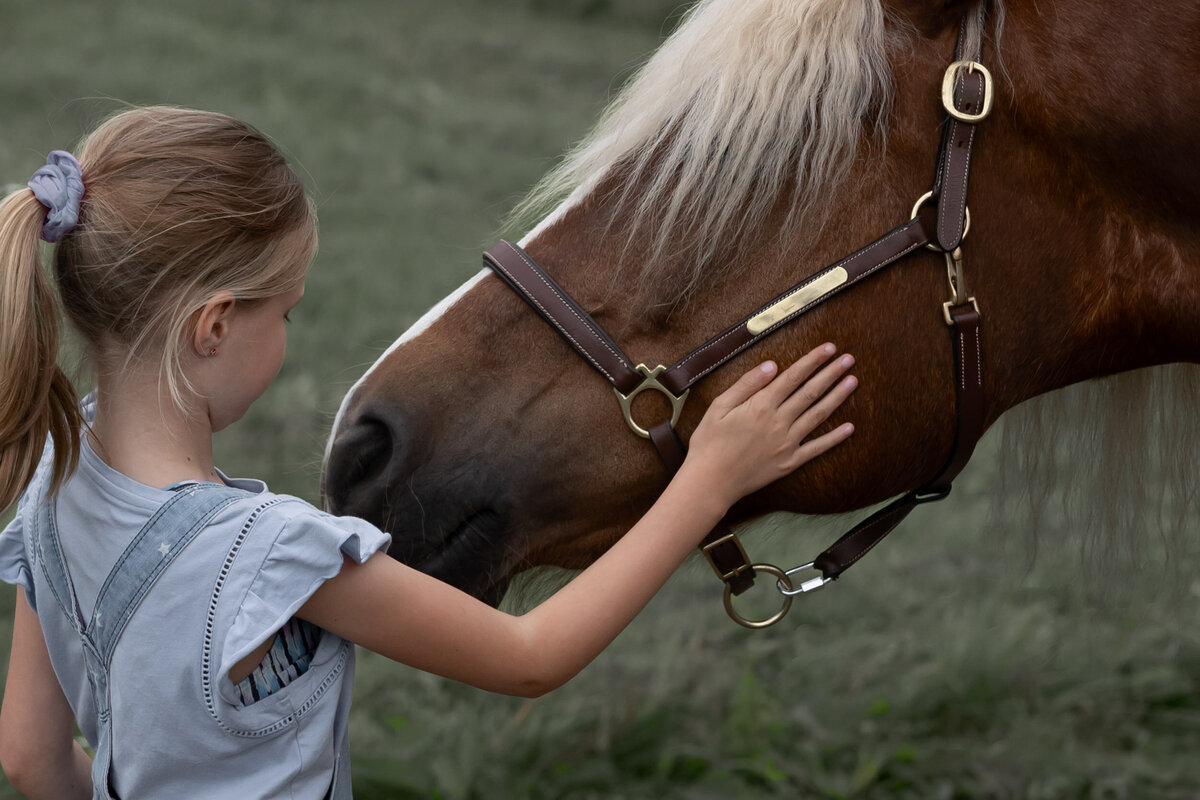 Klein meisje aait bruin paard tijdens coaching sessie Midlaren