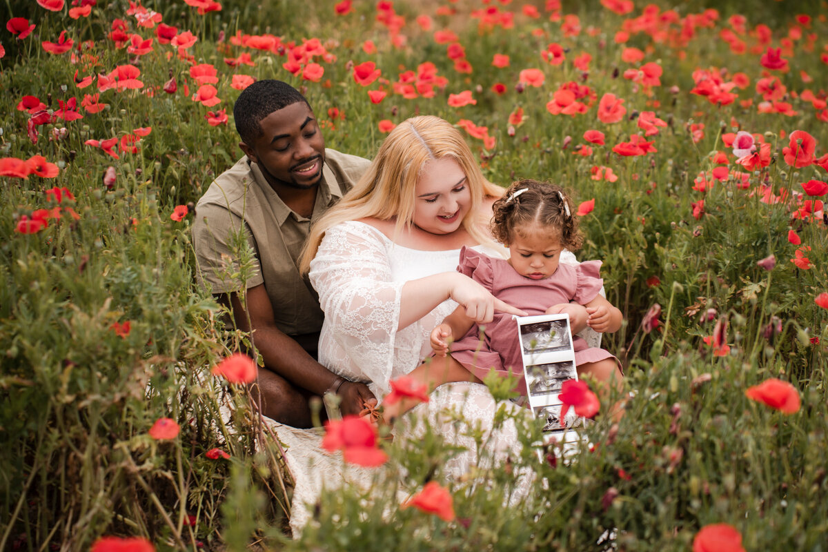 raleigh nc family photography