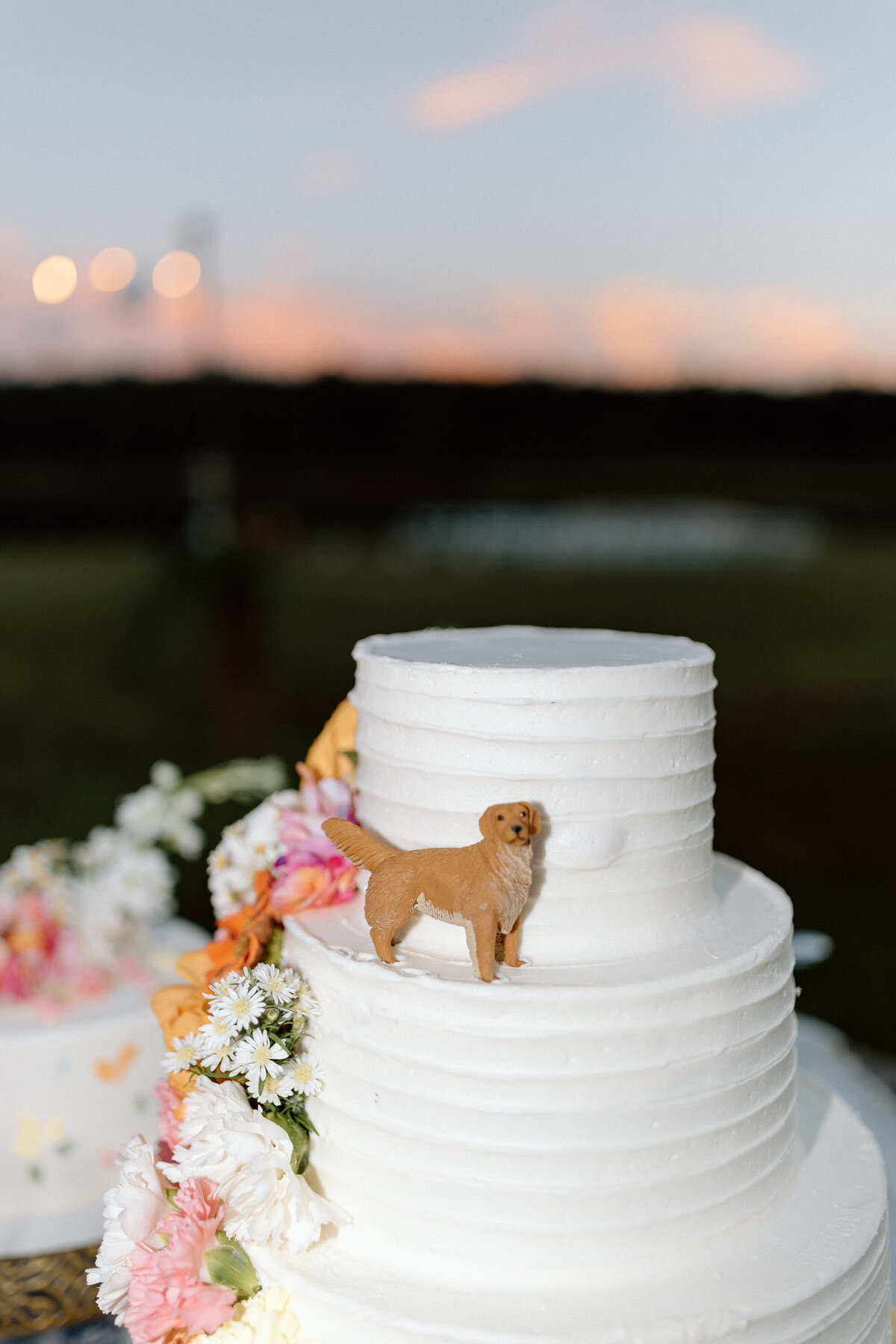 Farnam-Wedding--526