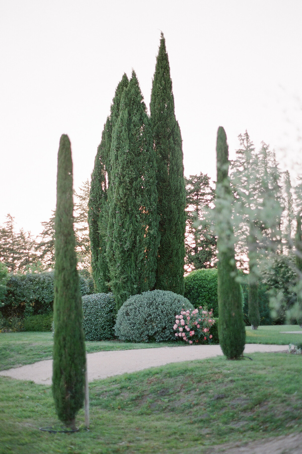 Anna_Grinets_Photography_Provence_wedding_Clos_Saint_Estève_006