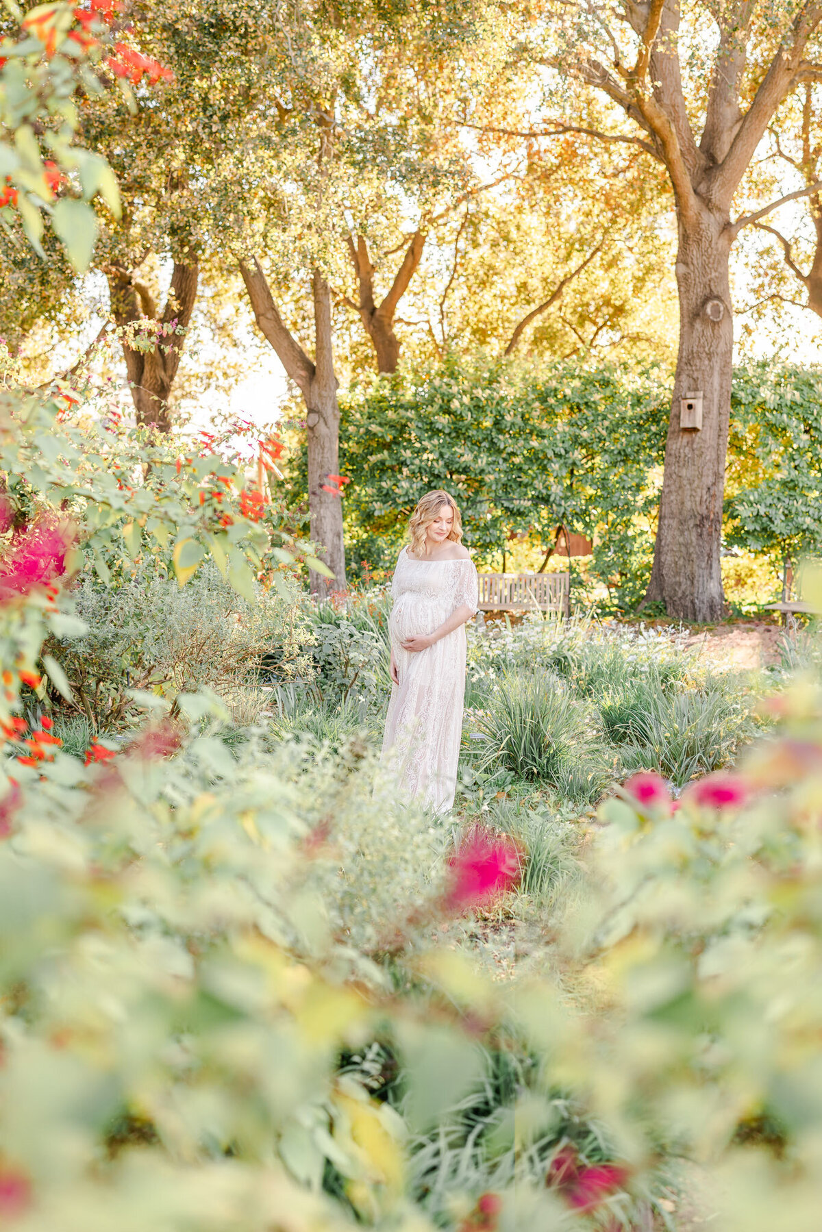 san-francisco-bay-area-maternity-photographer-29