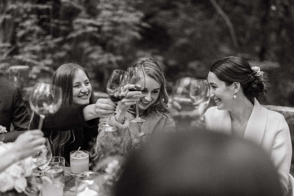 Redwood wedding dinner toast