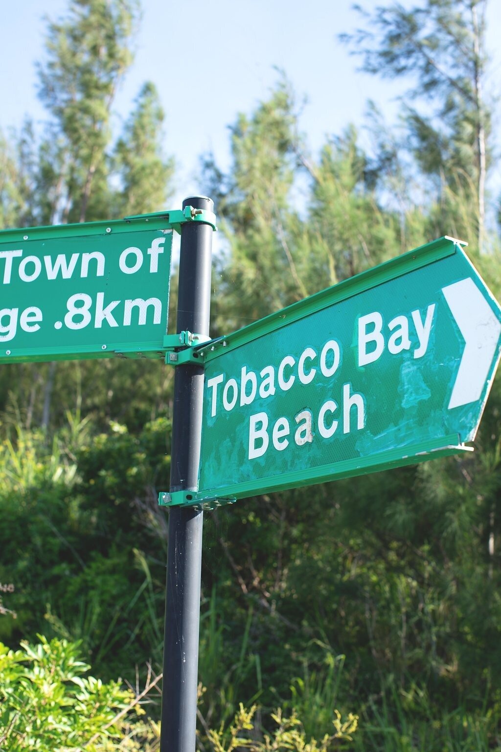 Revolve-Bermuda-Tobacco-Bay-Party-Dasfete-1