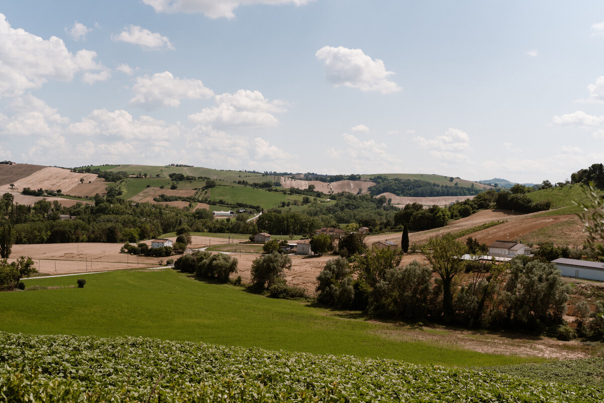 MonicaRomanielloPhotography -07002
