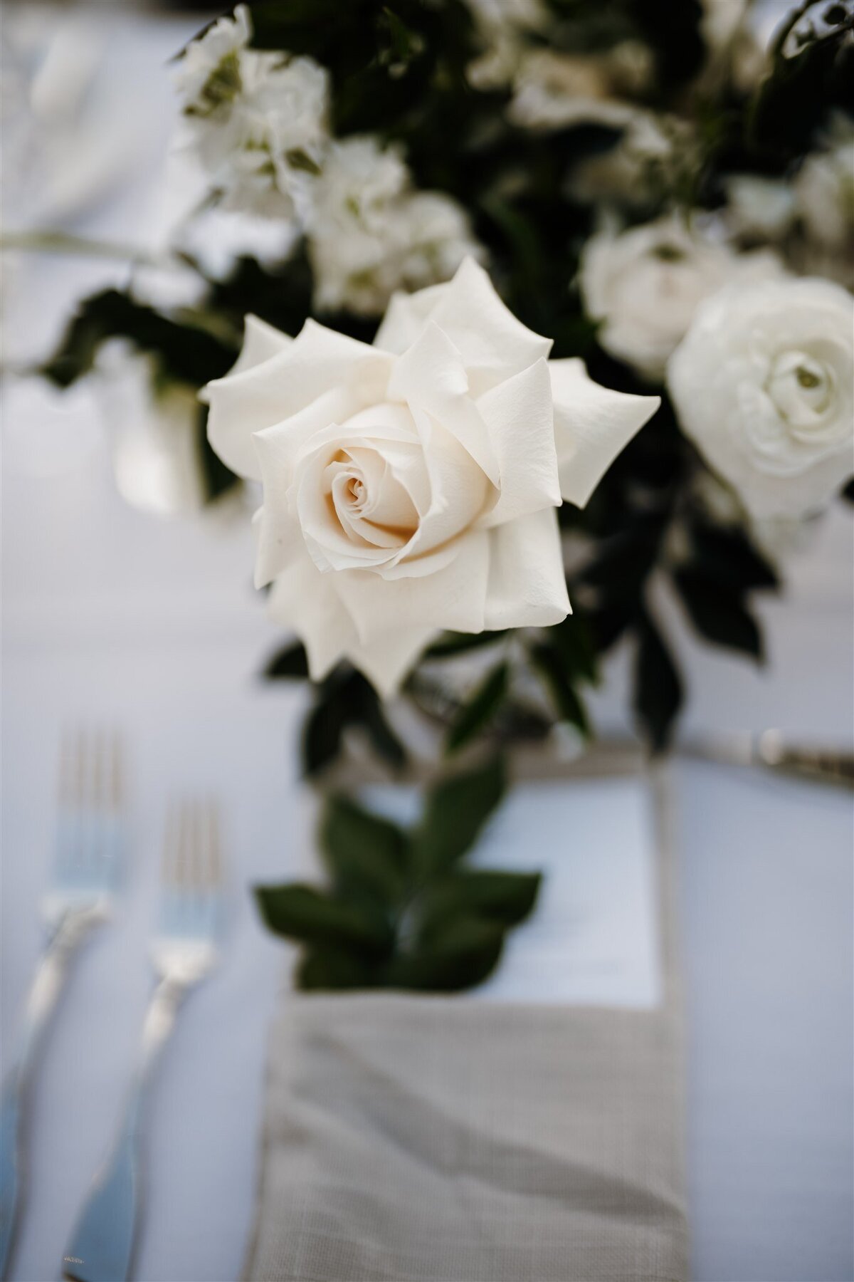 Modern white wedding flowers Maleny wedding florist