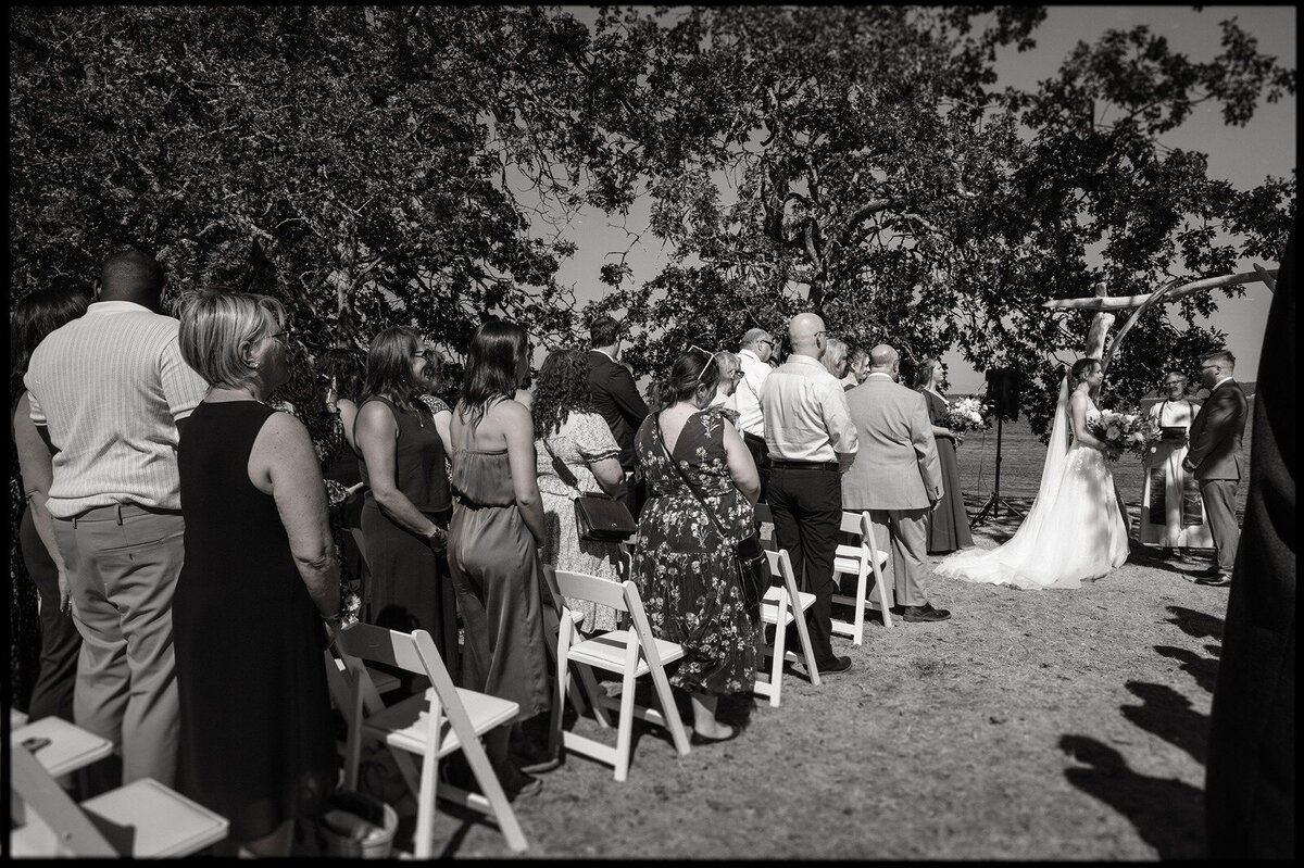 Kate_&_Derek_Aug_17_2024_Wedding-386-2