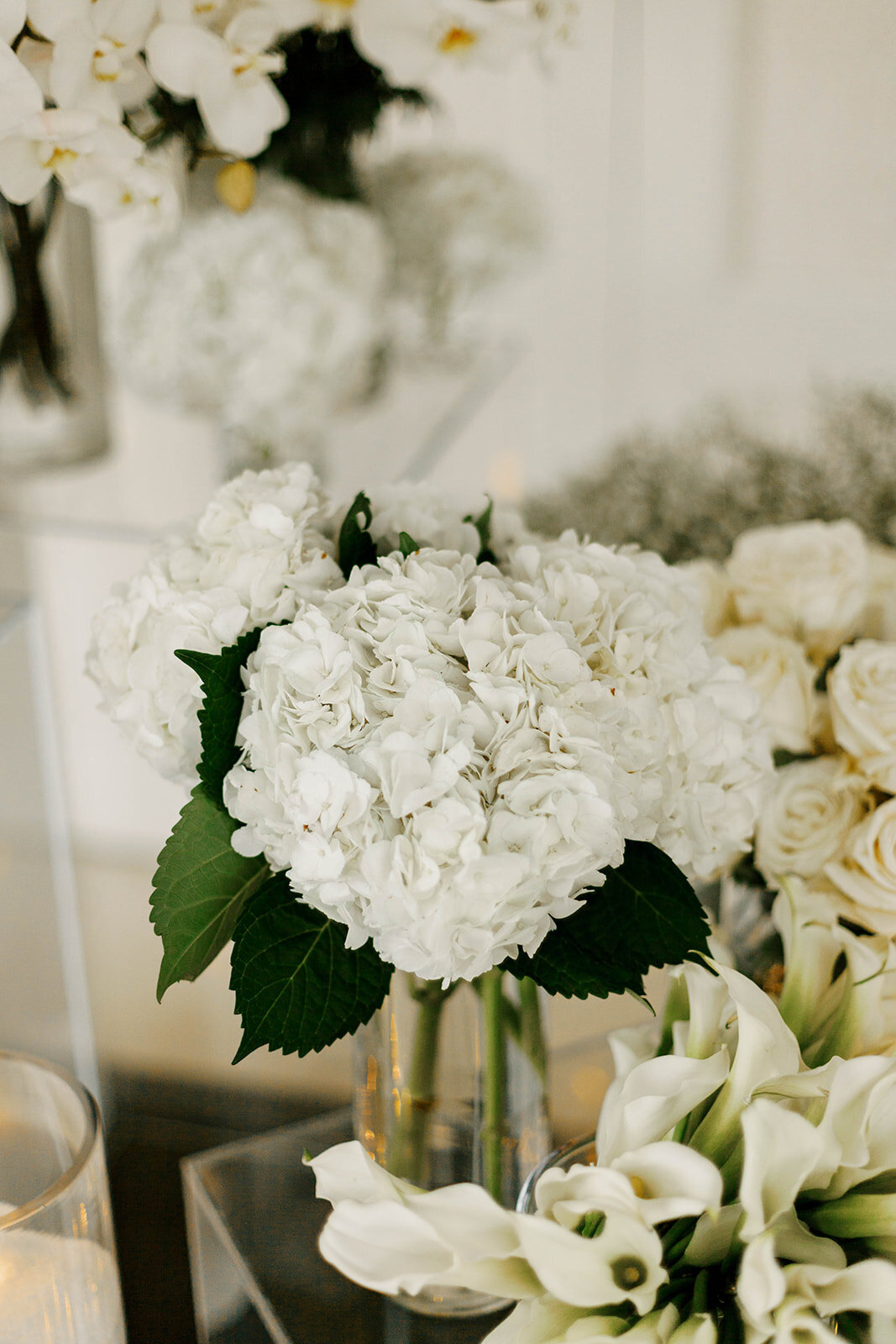 White Luxury in D.C - Floral Gallery by Krysta Smith floral Design_4