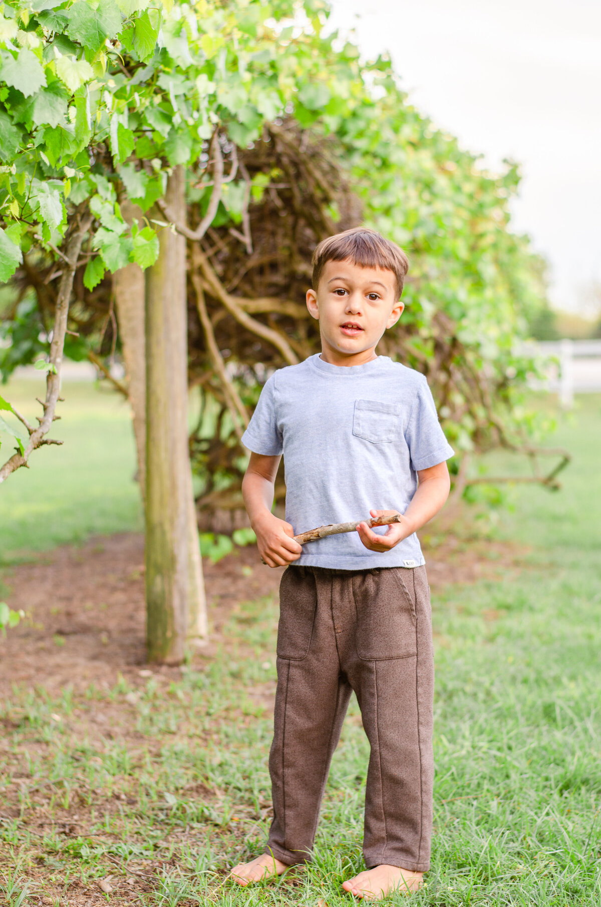 little boy plays with a stick in nature