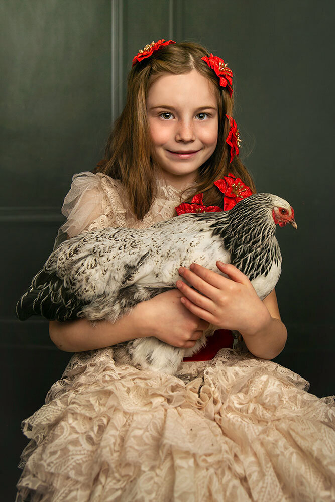 fine-art-chicken-children-portrait-farm-ranch-brahma-victorian-studio-portrait-unique-animals