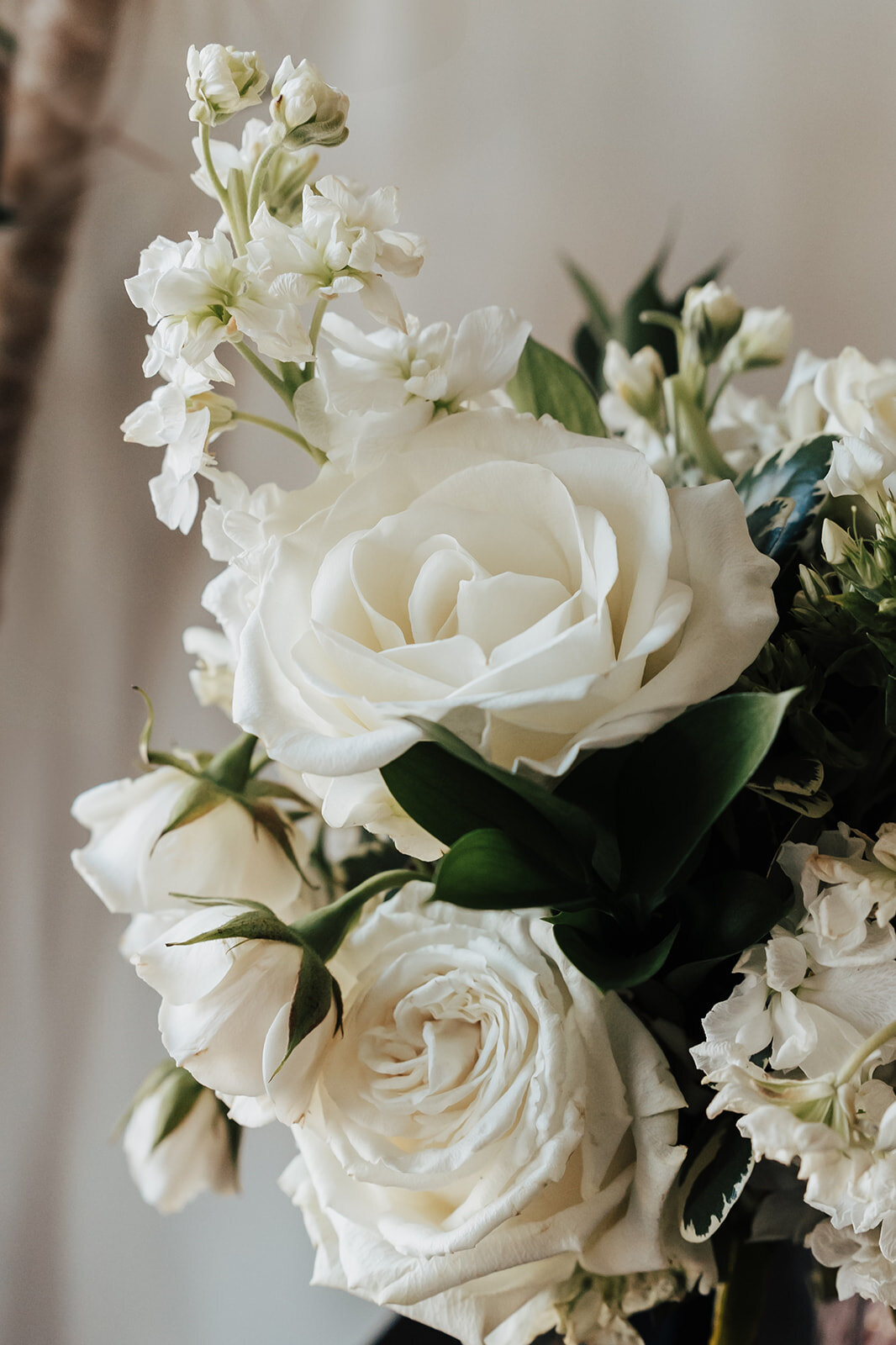 Philadelphia Wedding Photographer_Editorial Wedding Photographer_Jennifer Syl Photography_Philly Wedding Photographer_High End Wedding Photographer_Fine Art Wedding Photographer_Modern Luxury Wedding Photographer_Luxury Weddings14