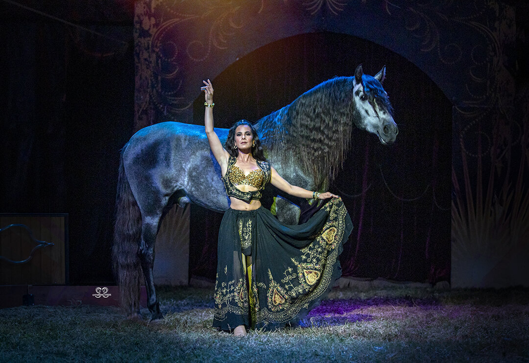©StunningSteedsPhoto-Andalusian stallion