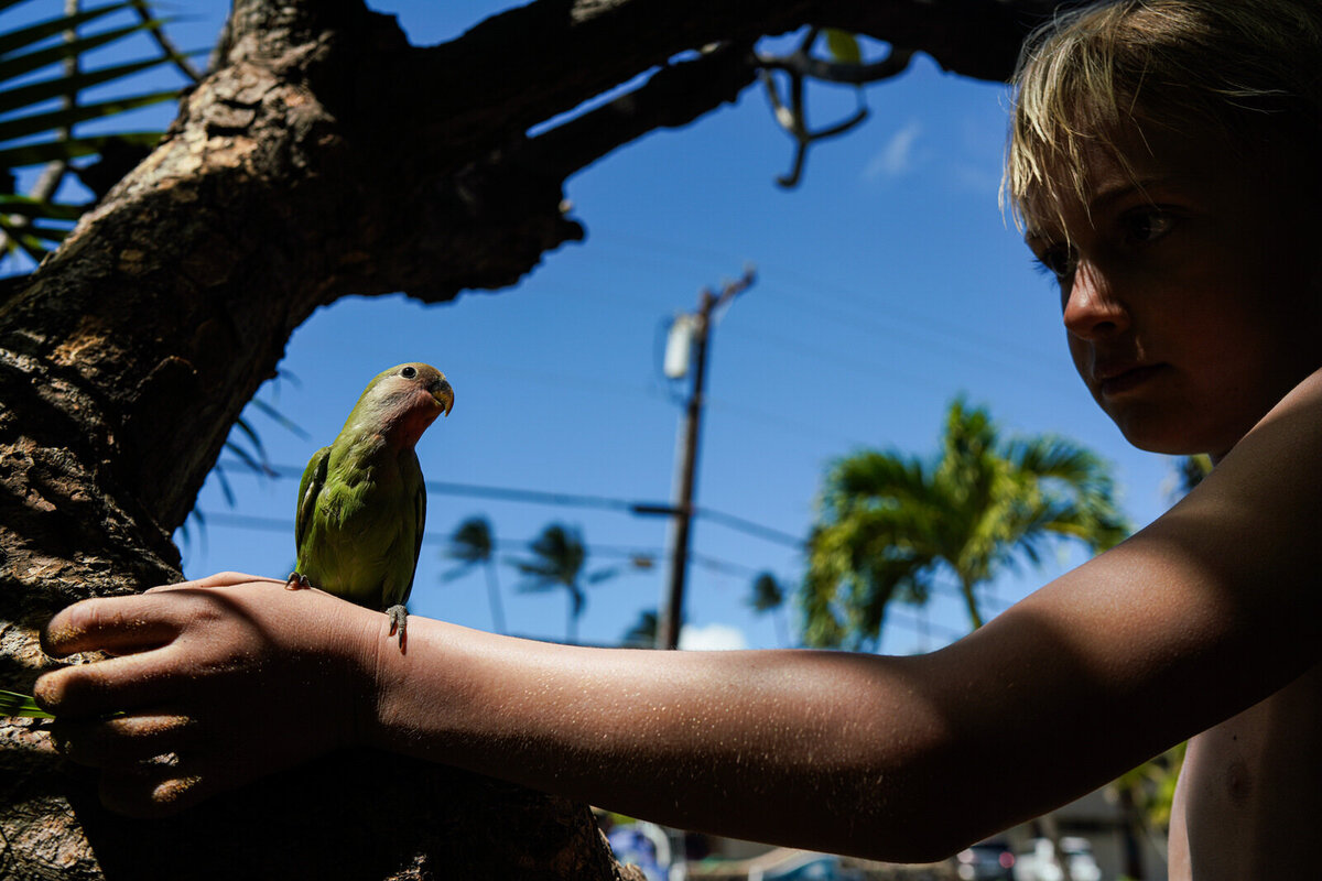 world's-best-vacation-kirsten-lewis-maui-hawaii2054