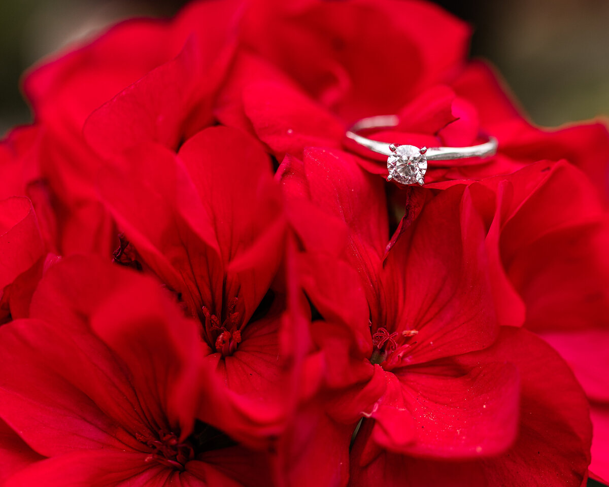 ring-on-red-flower