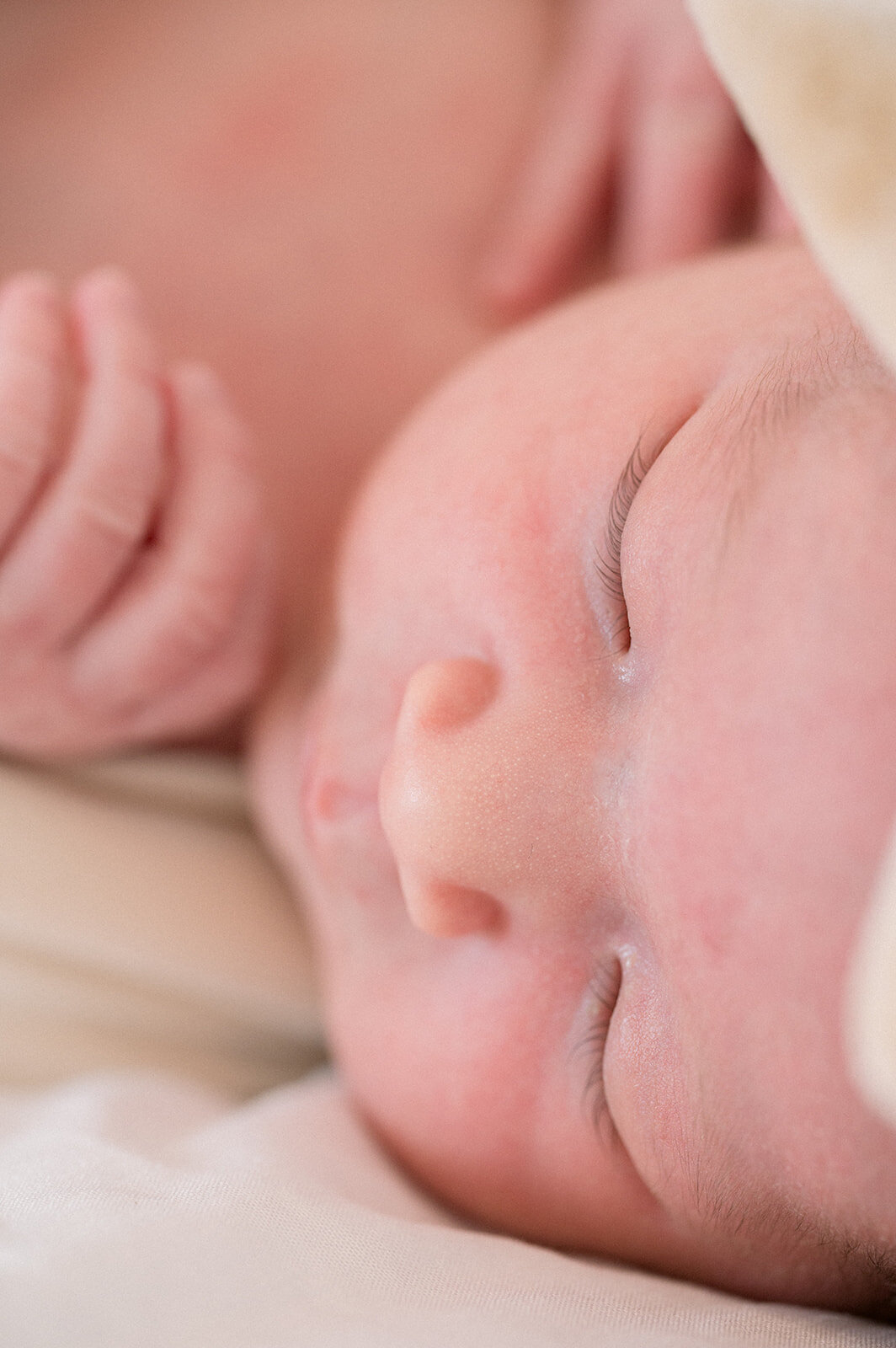 carmen_may_photography_farmington_pa_newborn_baby_photos-13