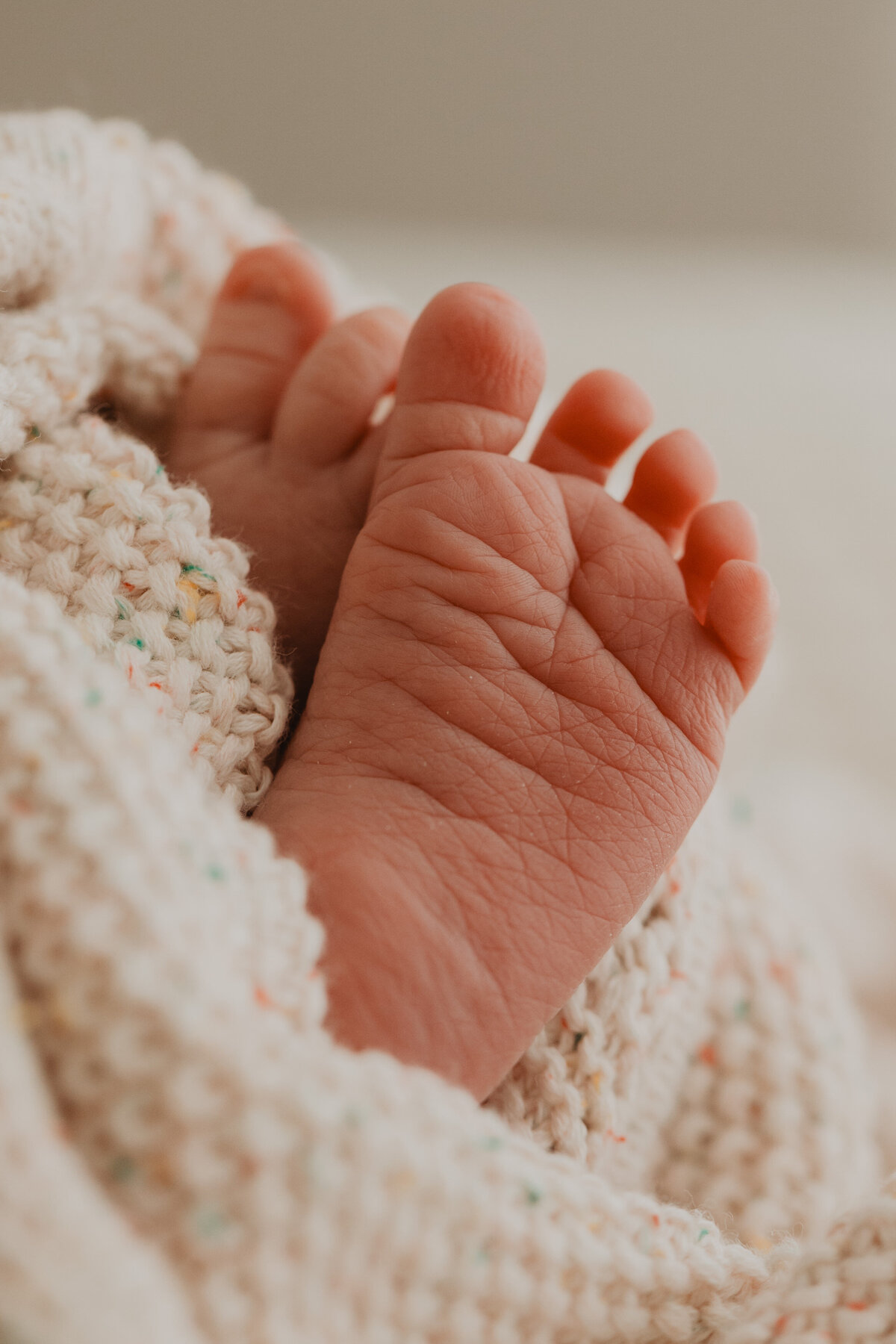 lauren-gray-sydney-newborn-photographer-230602-0034