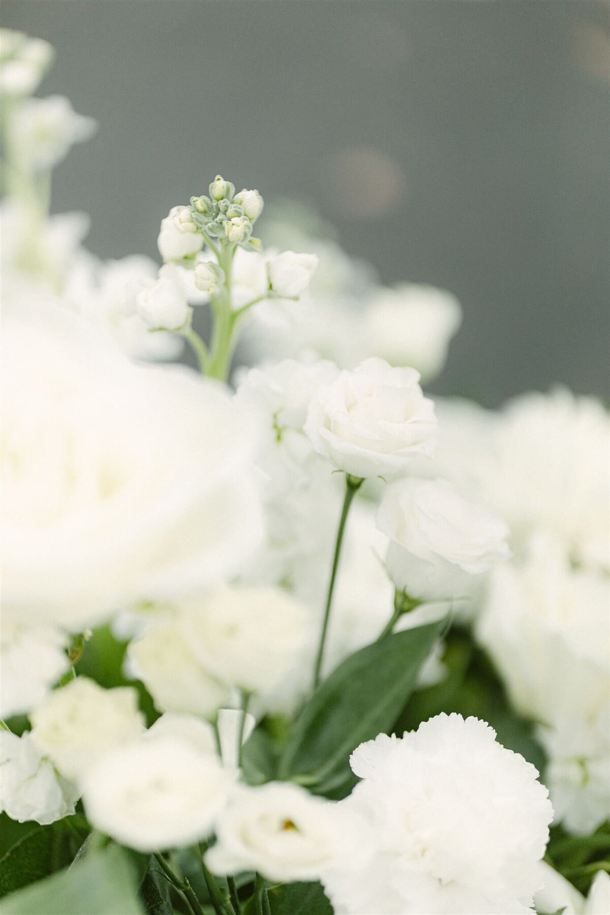 cs-fwedding-518_websize