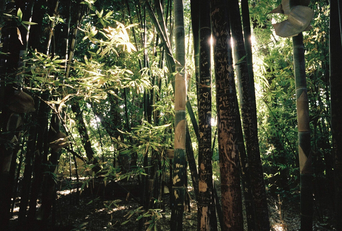 sydney-wedding-film-photographer-56