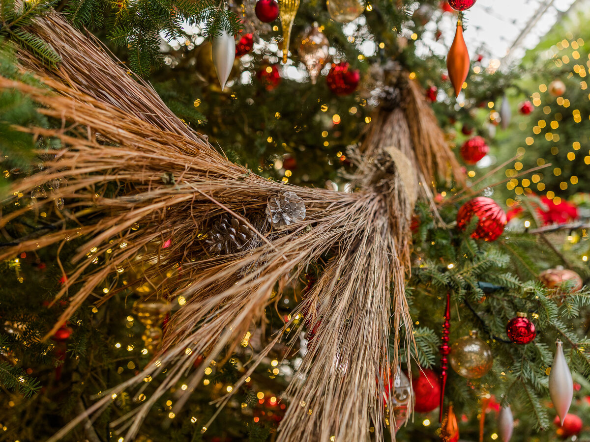 Longwood Christmas 2022_Full Size-114