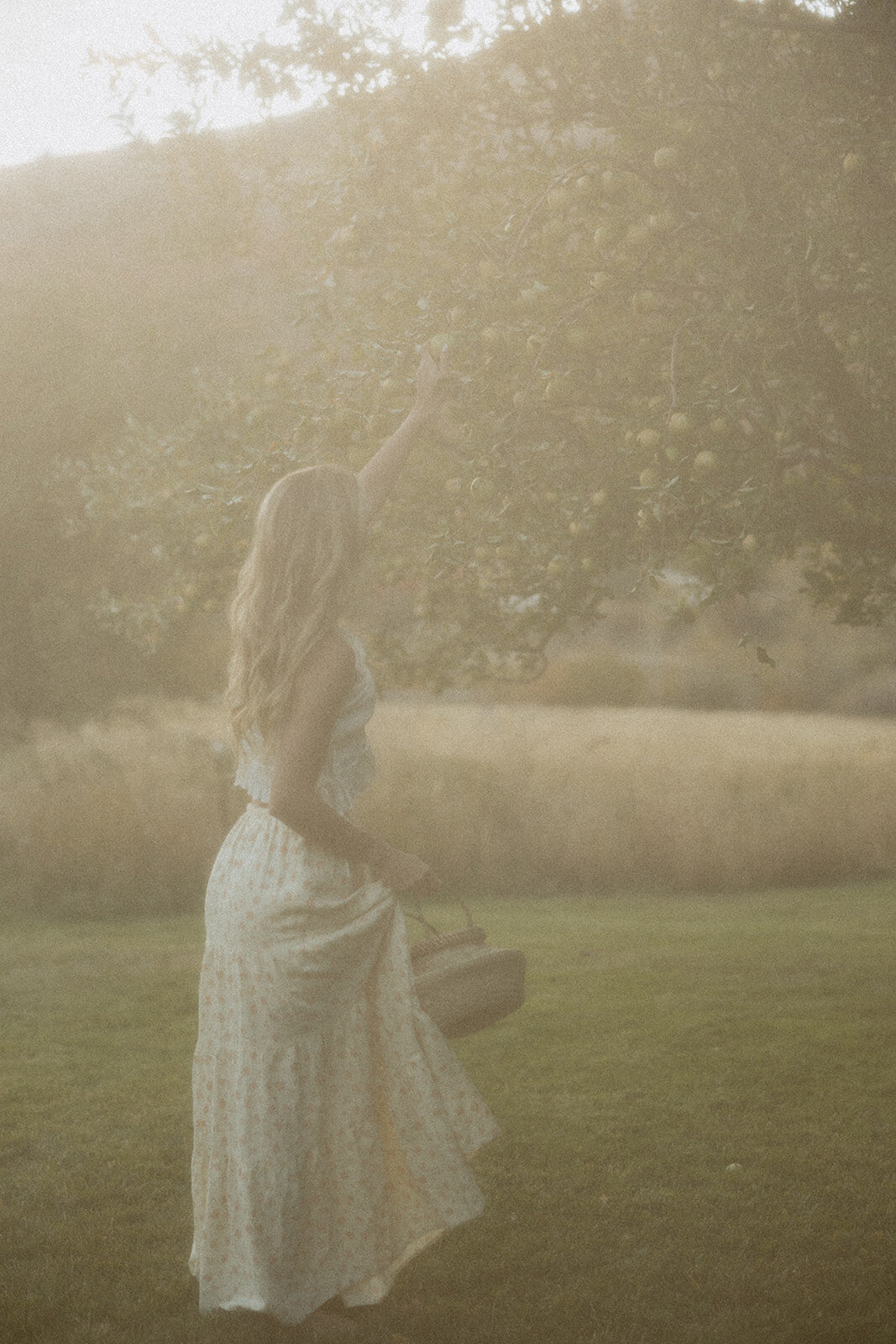tanya-davids-photo-film-documentary-idaho-utah-oregon-washington-colorado-wedding-elopement-portrait-photographer-intention-session-apple-orchard-71