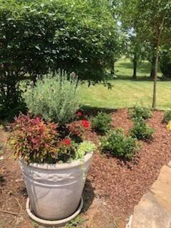 IMG_20240918_171020