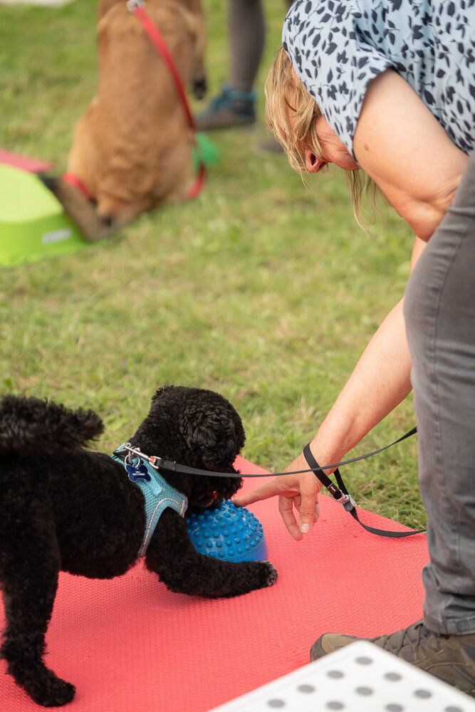 ElkeFierensFotografie-03461